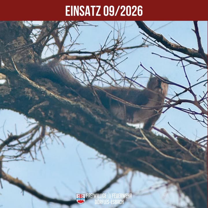 Einsatz