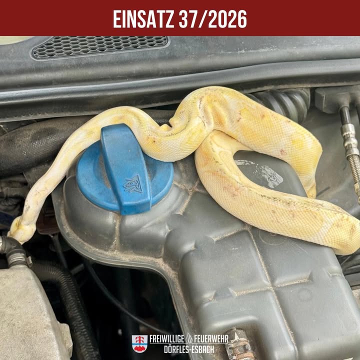 Einsatz