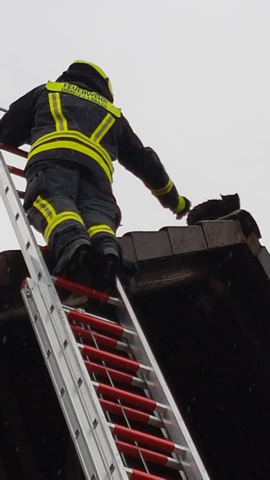 Einsatz