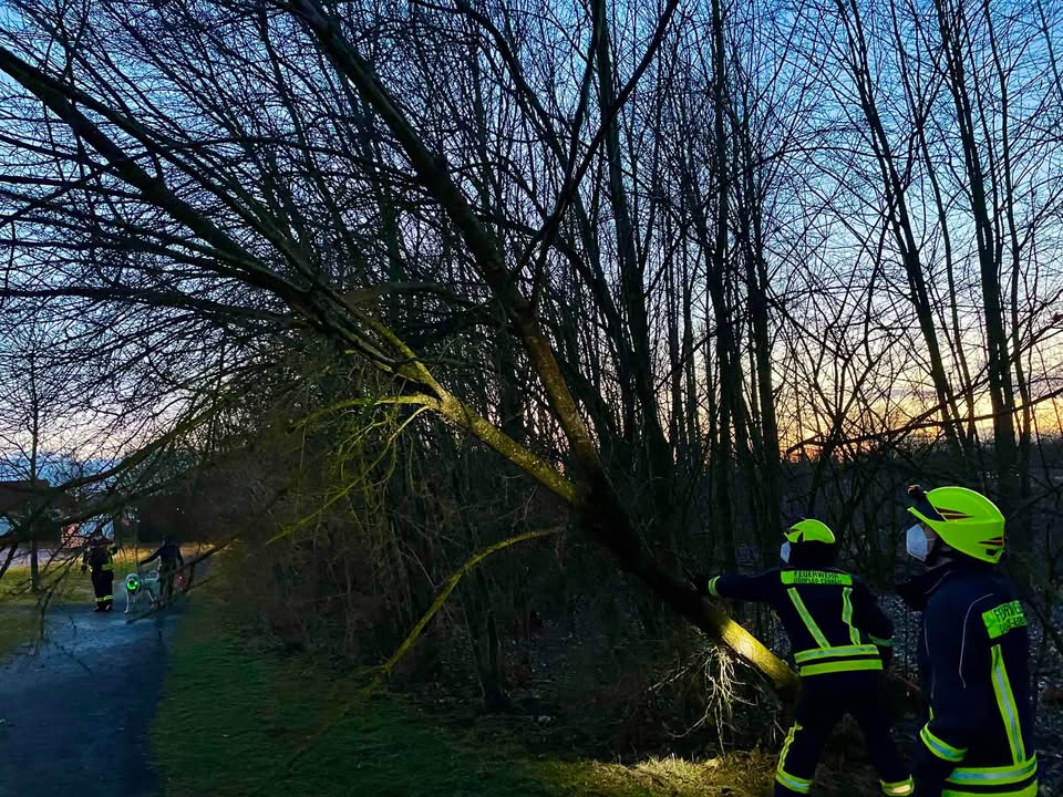 Einsatz